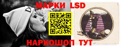 гашик Берёзовский