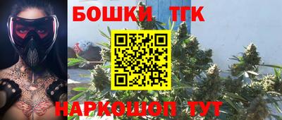 гашик Берёзовский