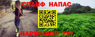 гашик Берёзовский