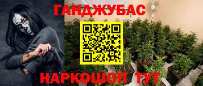 сатива Абинск