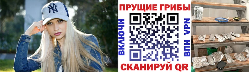 Псилоцибиновые грибы GOLDEN TEACHER  Рославль 