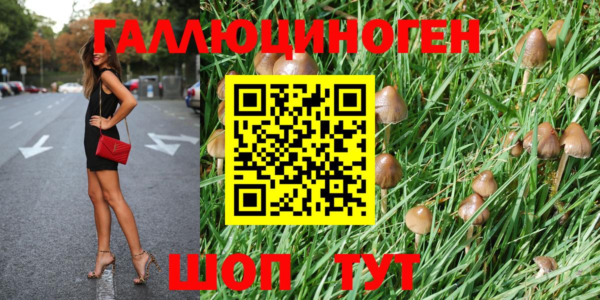 Псилоцибиновые грибы прущие грибы  Рославль  Галлюциногенные грибы Psilocybe 