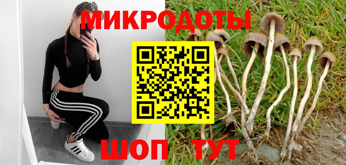 Рославль  Галлюциногенные грибы Psilocybine cubensis  Вход с VPN 