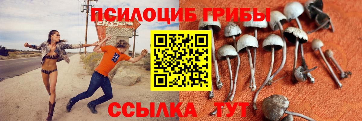 Галлюциногенные грибы MAGIC MUSHROOMS Рославль